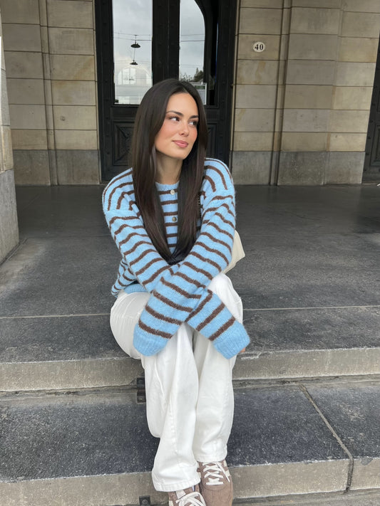 Vive Vest | Blue Brown striped | Tall